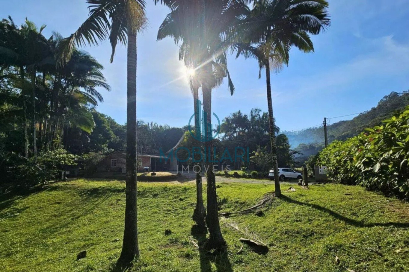 Incrível Sitio à Venda - 65.000 m no Fidelis — foto 6