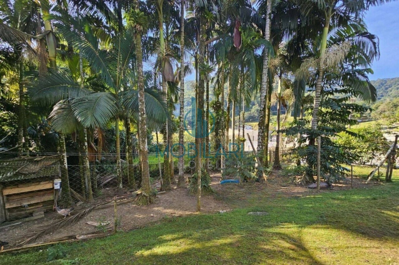 Incrível Sitio à Venda - 65.000 m no Fidelis — foto 4