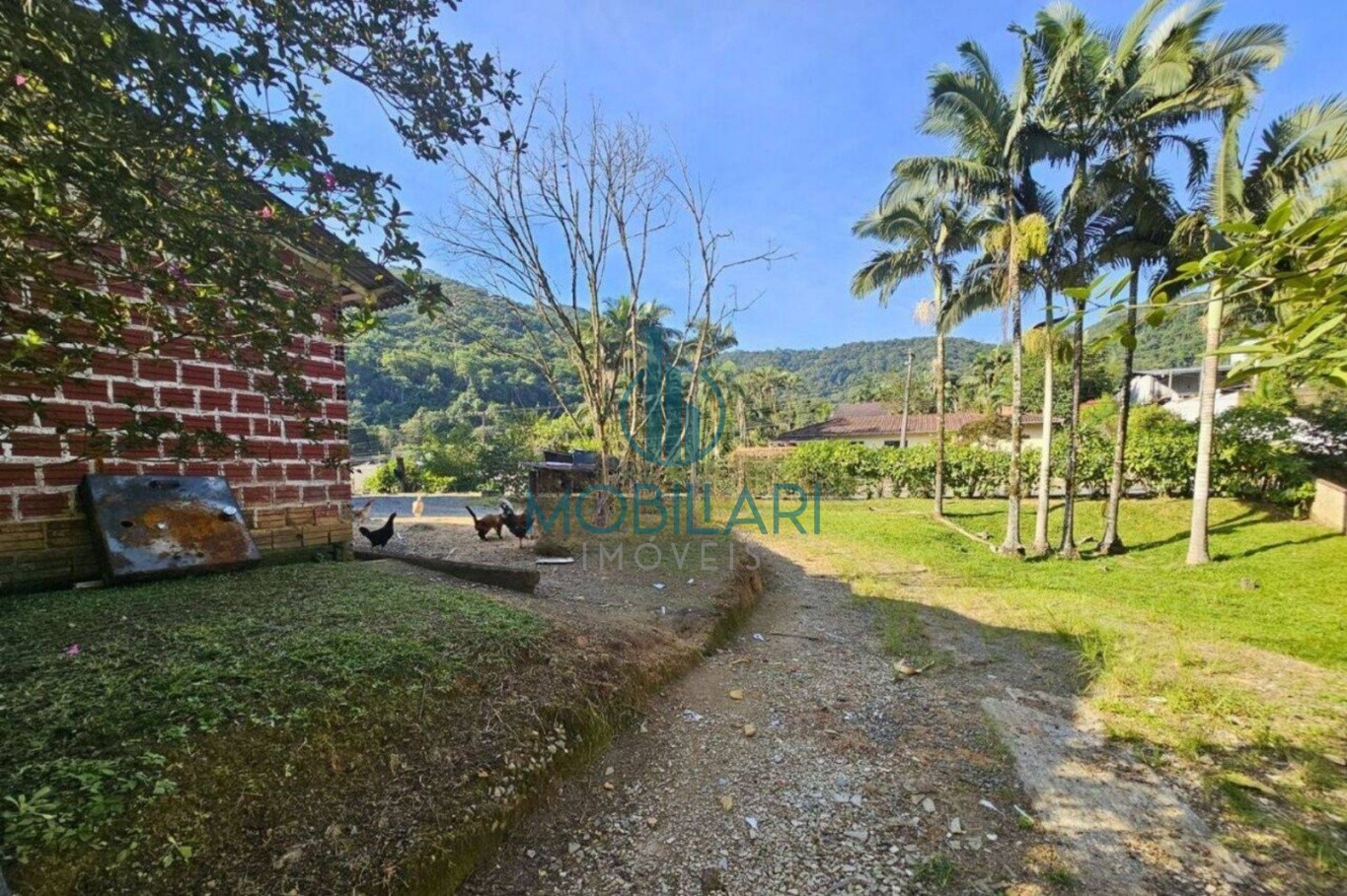 Incrível Sitio à Venda - 65.000 m no Fidelis — foto 5