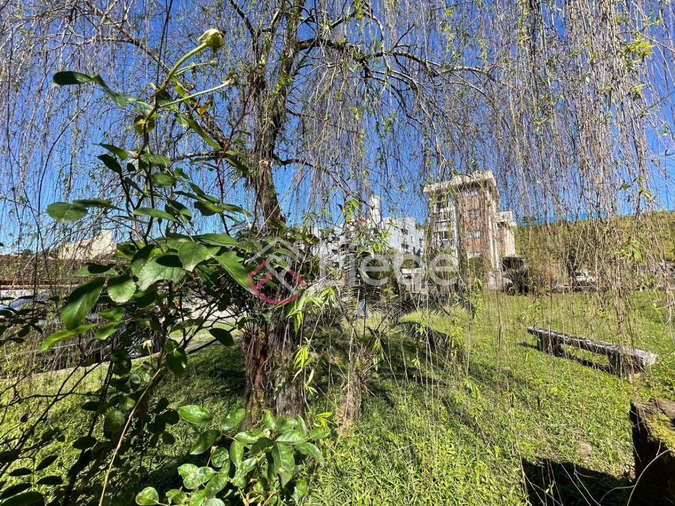 Oportunidade de Imóvel no centro da cidade de Pomerode com 280,00m de área construída e edificado num terreno com 881,25m. — foto 6