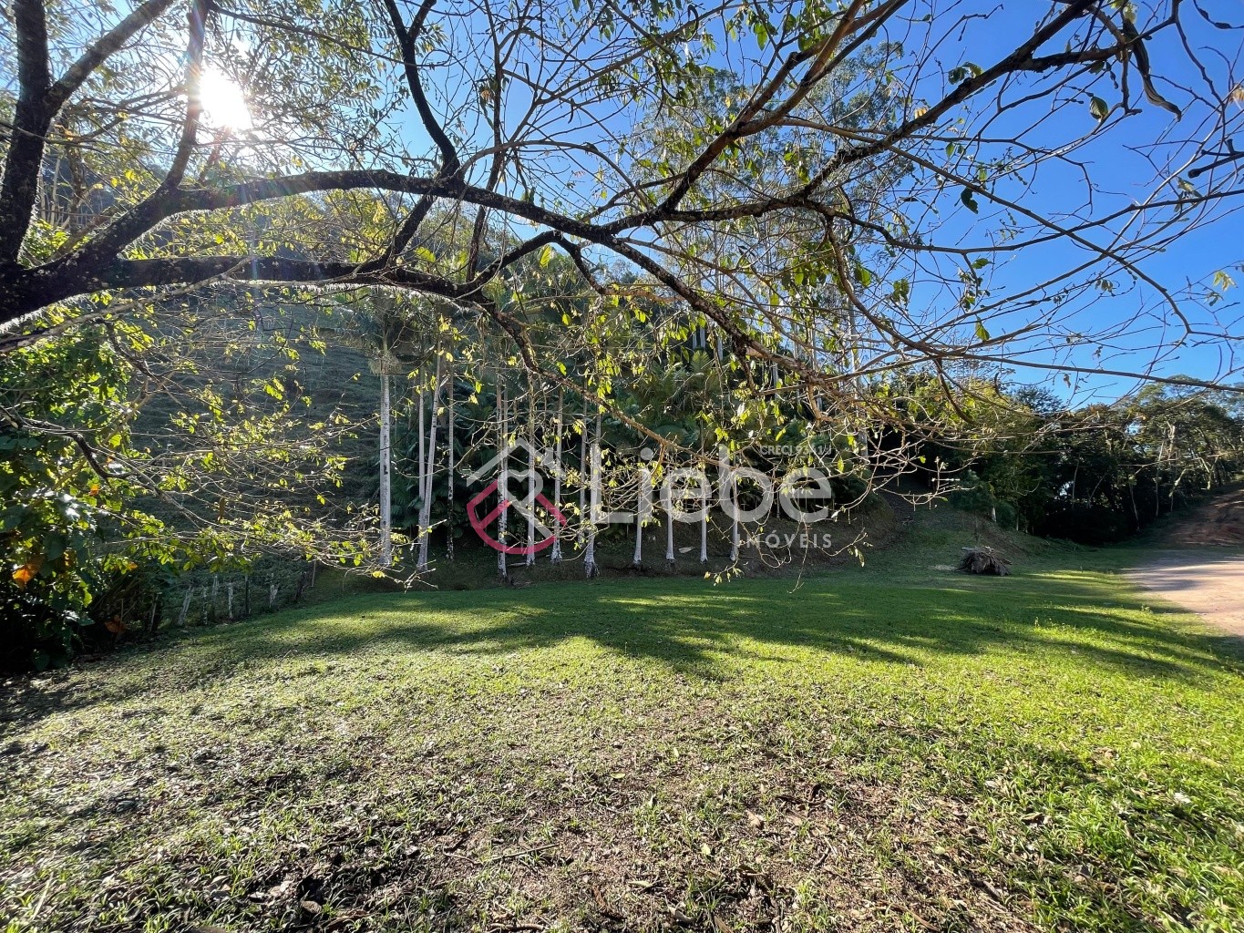 Oportunidade de Terreno com 17.158,99m no Bairro Pomerode Fundos em Pomerode com uma vista linda e 99,50 metros de frente. - foto 1