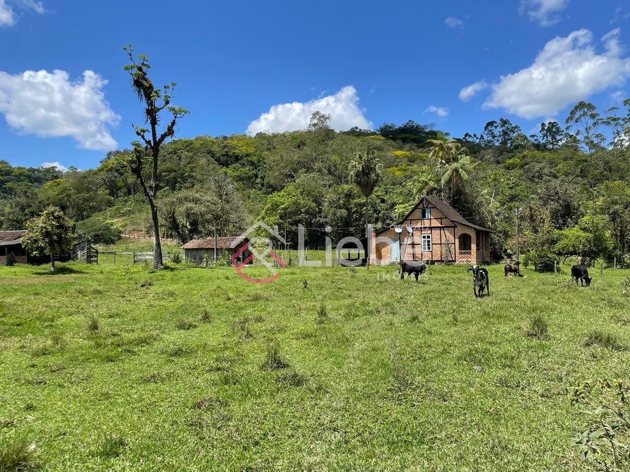 IMÓVEL ÚNICO - Sítio com Casa Enxaimel no bairro Vale do Selke em Pomerode. — foto 7