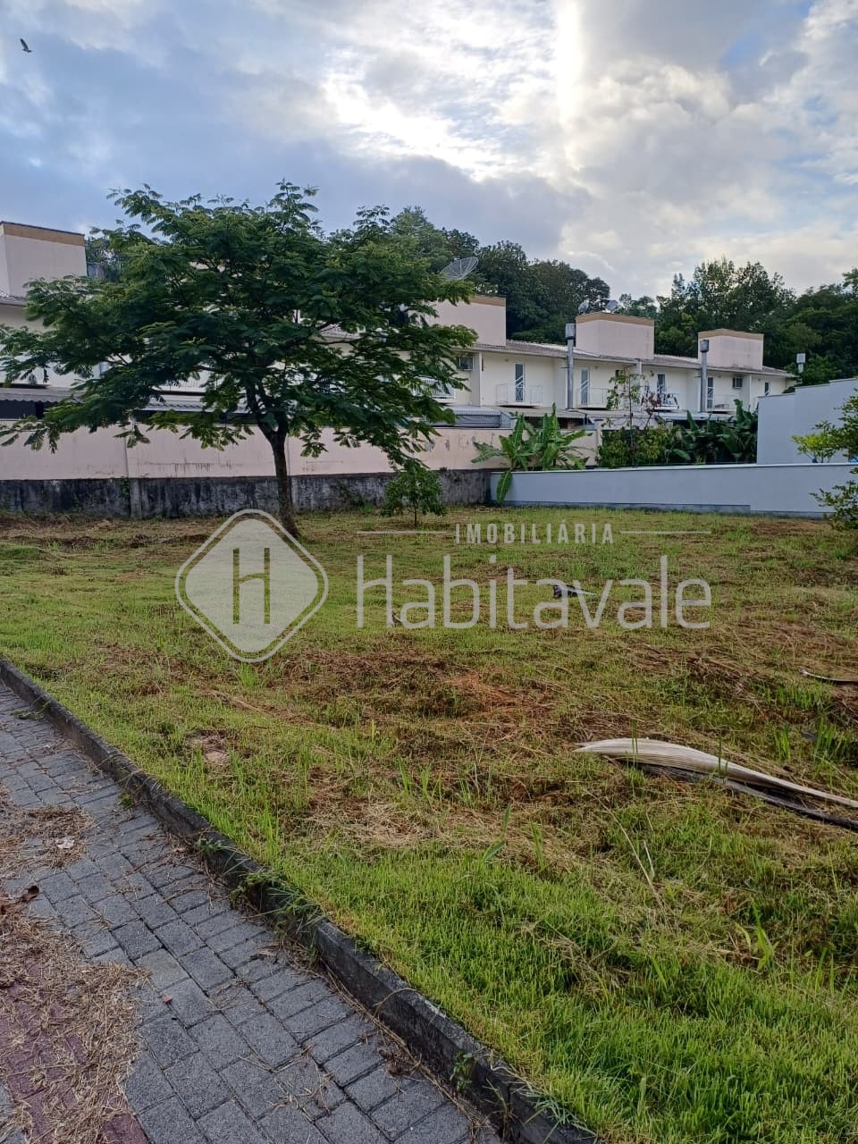 TERRENO EM TIMBÓ — foto 3