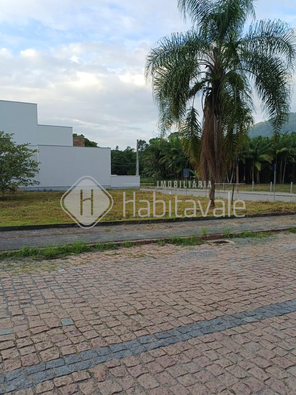 TERRENO EM TIMBÓ — foto 2