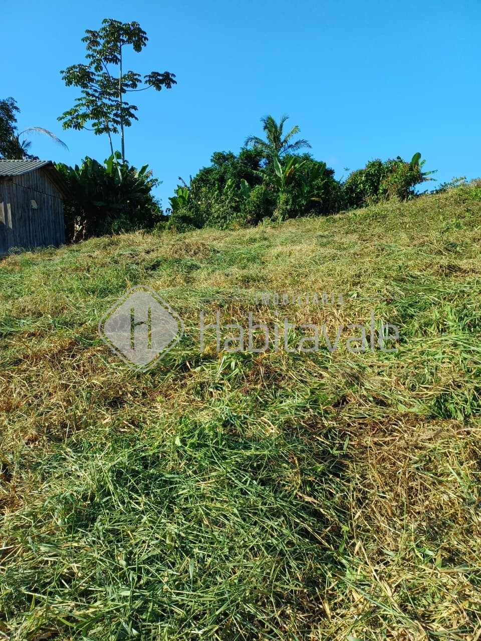 TERRENO EM TIMBÓ — foto 3