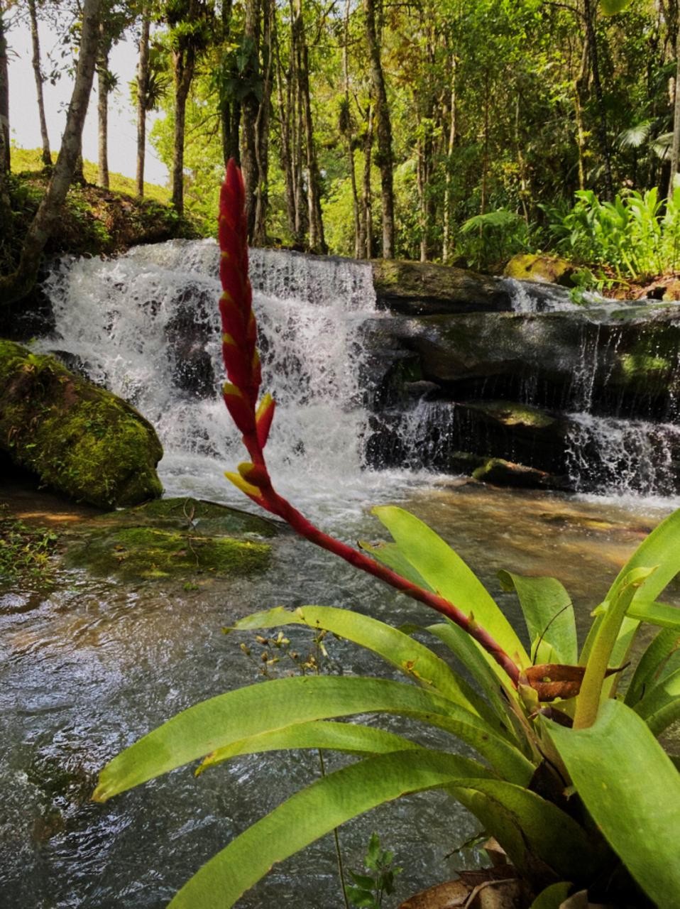 Um Refúgio Exclusivo em Meio à Natureza - Apiúna/SC — foto 4
