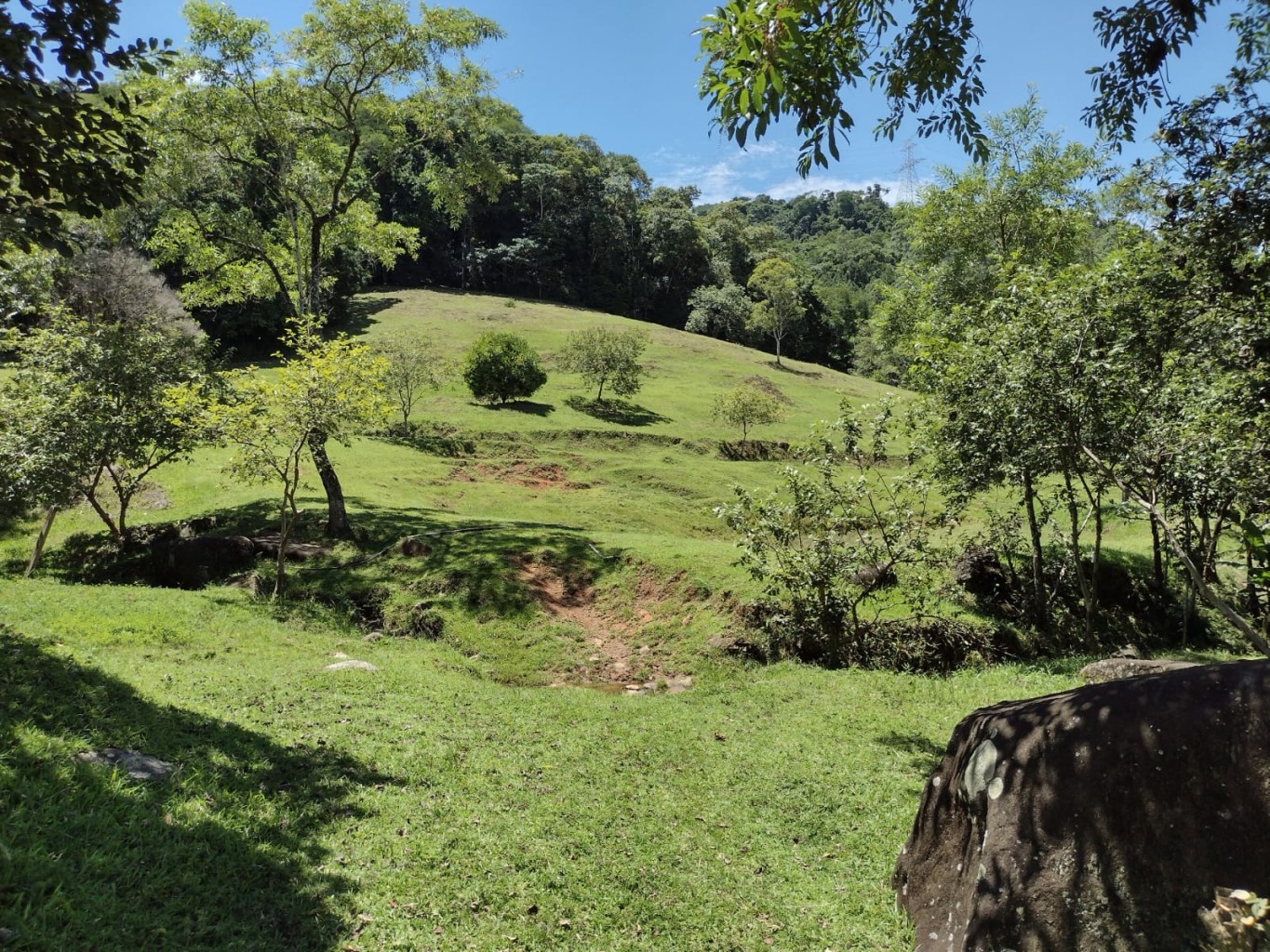SITIO A VENDA BELCHIOR BAIXO - GASPAR SC — foto 5