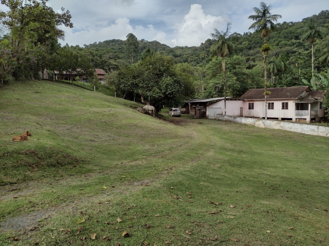 SITIO A VENDA BELCHIOR BAIXO - GASPAR SC — foto 2
