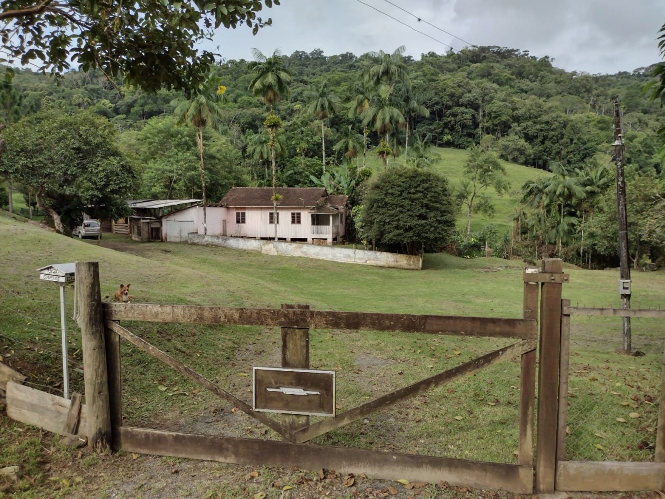 SITIO A VENDA BELCHIOR BAIXO - GASPAR SC - foto 1