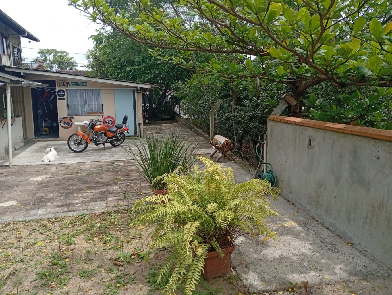 Oportunidade Bairro Vila Nova. — foto 4