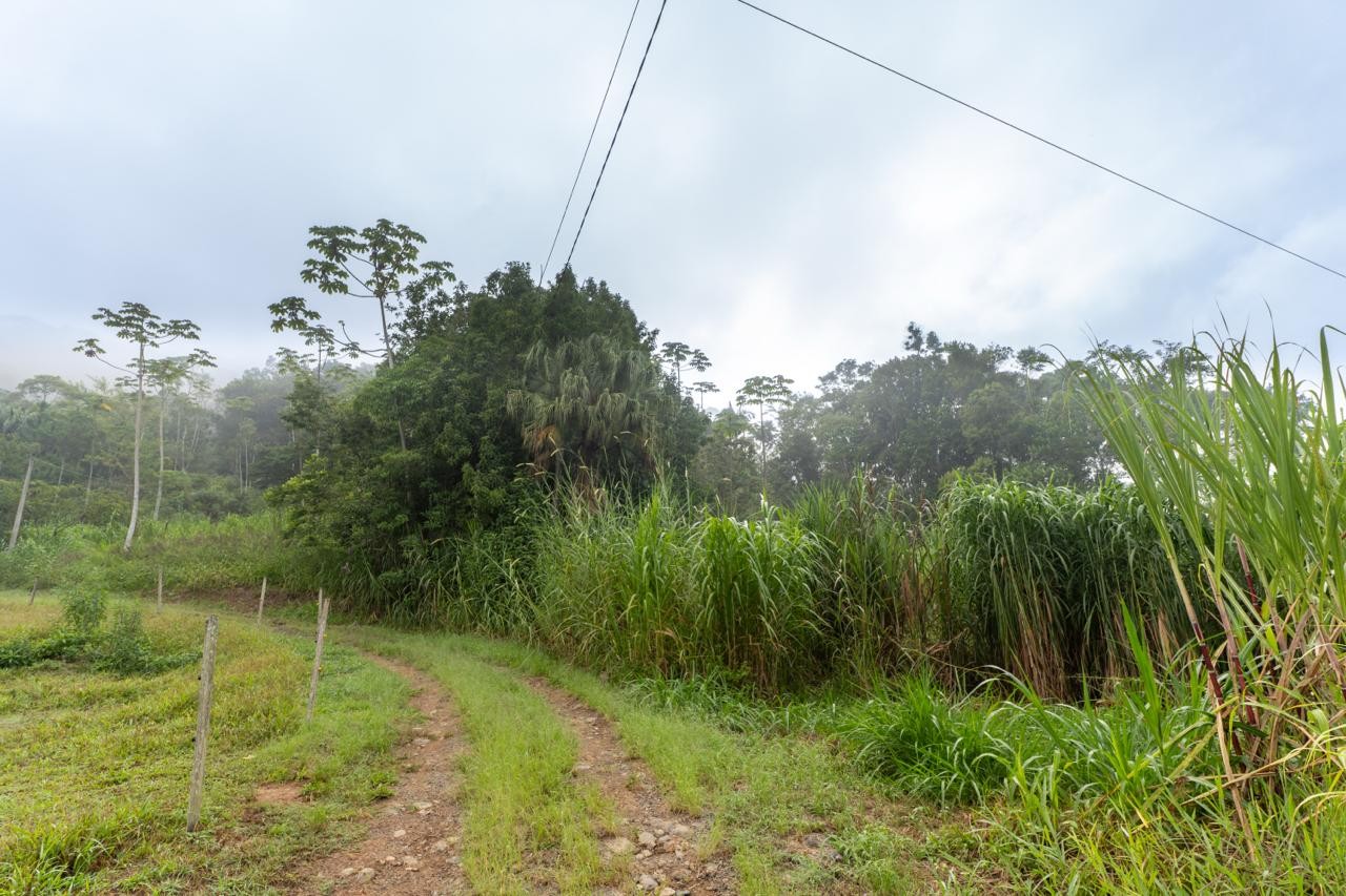 Sítio com excelente potencial no bairro Ribeirão Souto - Pomerode/SC — foto 3