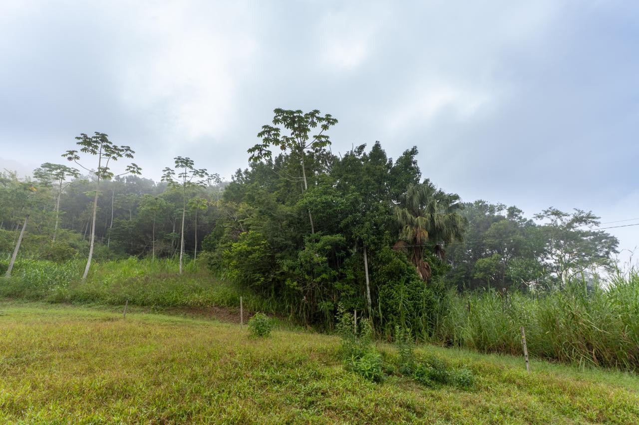 Sítio com excelente potencial no bairro Ribeirão Souto - Pomerode/SC — foto 2