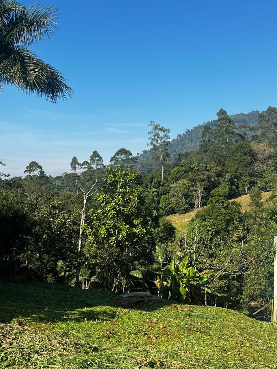 Excelente terreno alto no bairro Ribeirão Areia, em Pomerode, com vista privilegiada! — foto 6