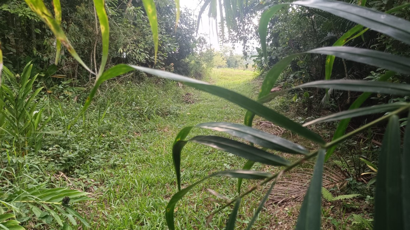 Terreno com excelente potencial para sítio ou até mesmo para loteamento no Vale do Selke Grande! — foto 4