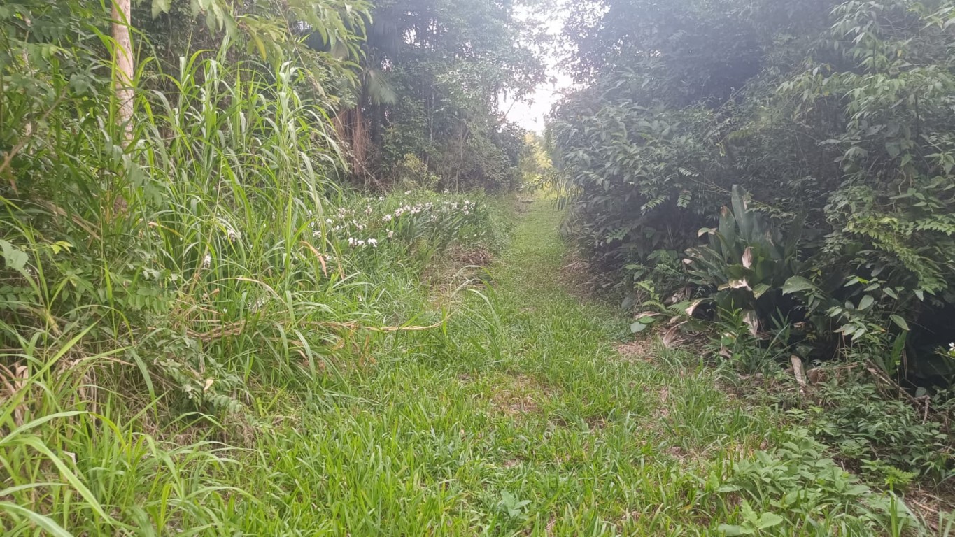 Terreno com excelente potencial para sítio ou até mesmo para loteamento no Vale do Selke Grande! — foto 6