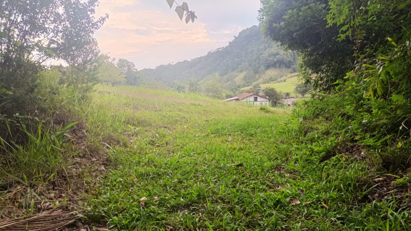 Terreno com excelente potencial para sítio ou até mesmo para loteamento no Vale do Selke Grande! — foto 3