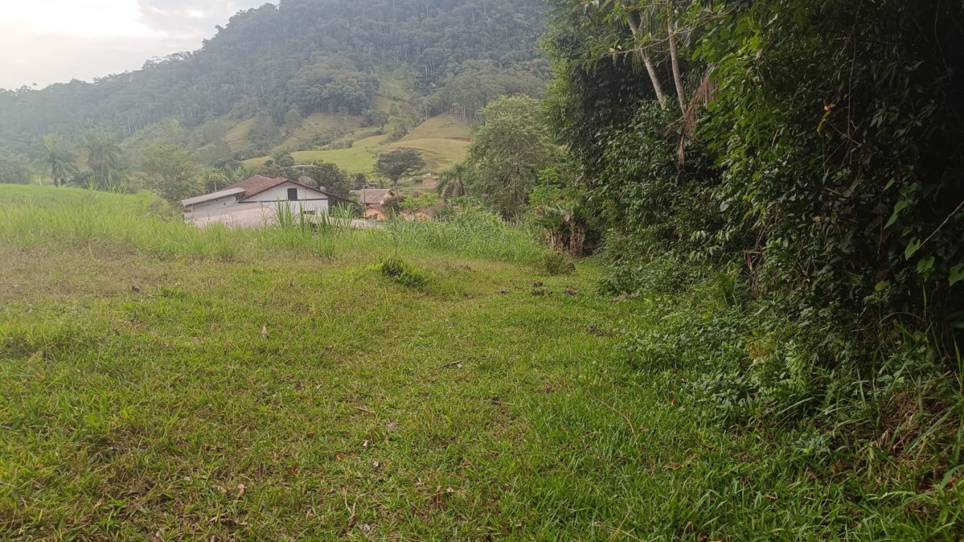 Terreno com excelente potencial para sítio ou até mesmo para loteamento no Vale do Selke Grande! - foto 1