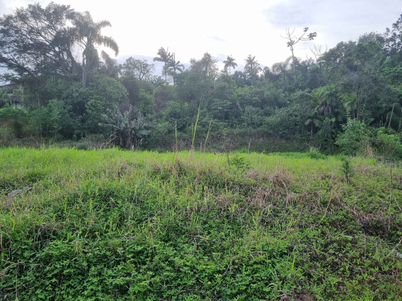 Terreno à venda no Bairro Estação - Ascurra/SC — foto 3