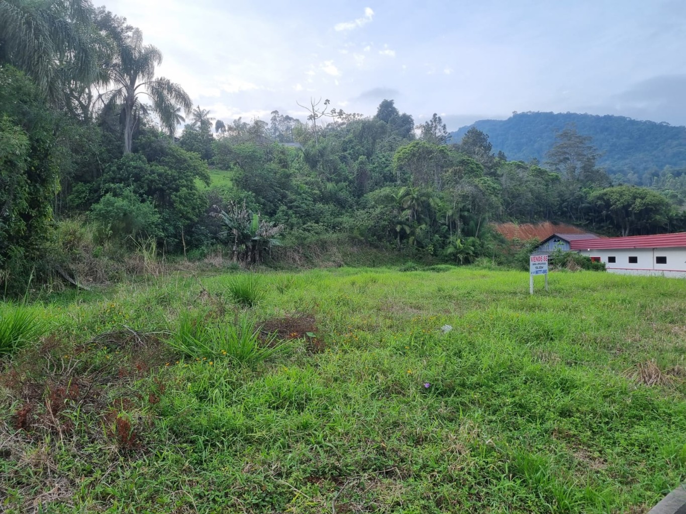 Terreno à venda no Bairro Estação - Ascurra/SC — foto 2
