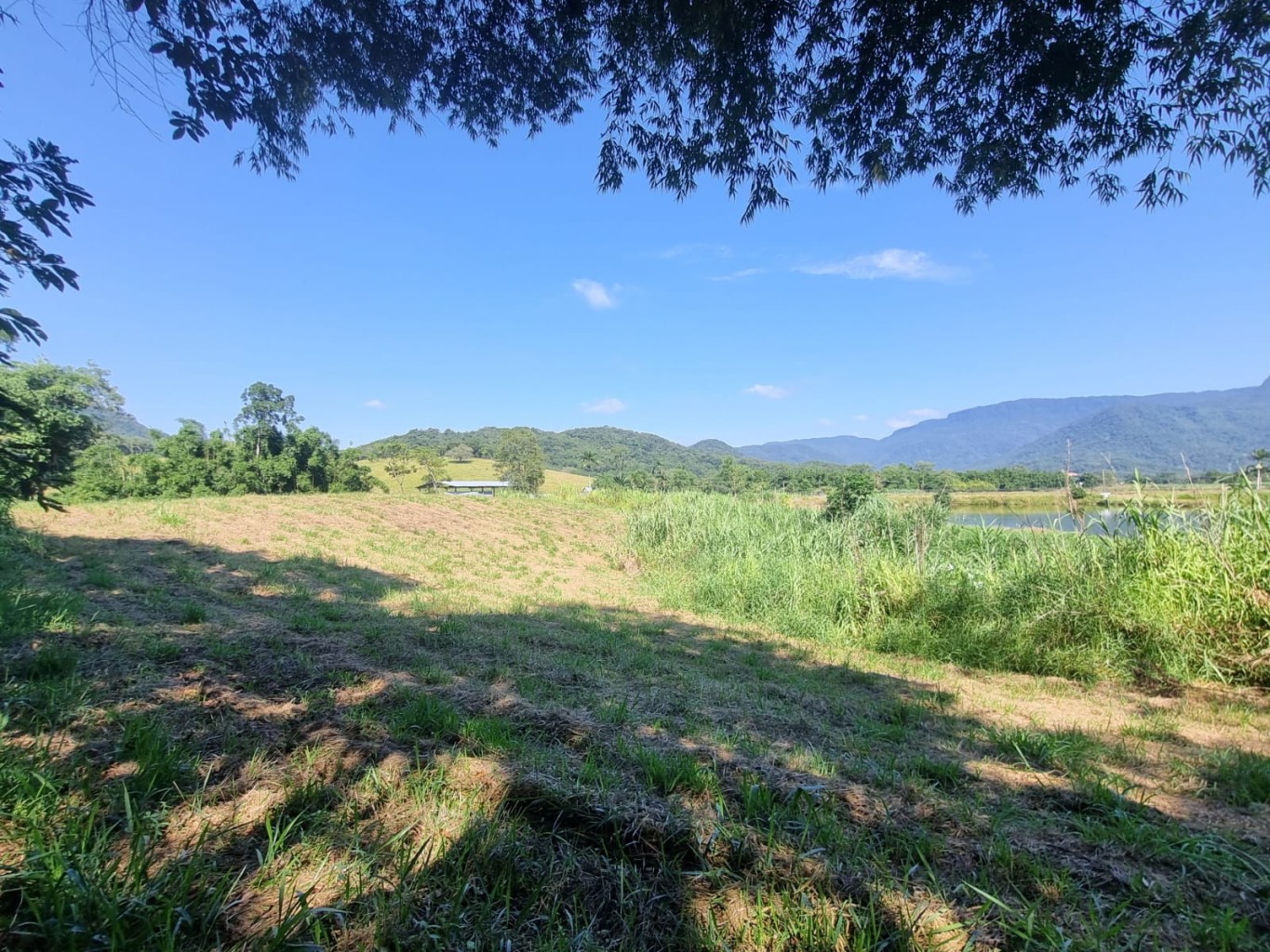 Excelente oportunidade para investir ou realizar o seu projeto dos sonhos! - foto 1