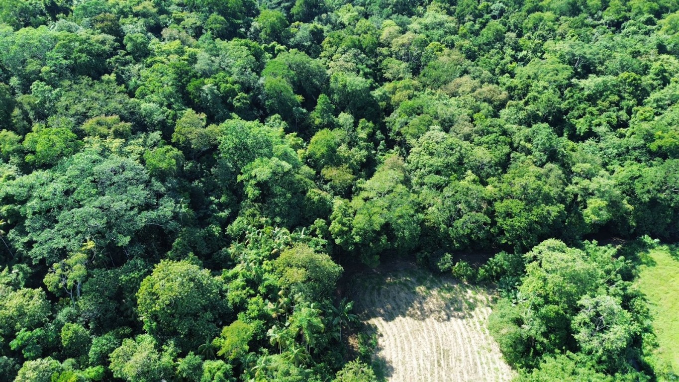 Excelente oportunidade para investir ou realizar o seu projeto dos sonhos! — foto 7