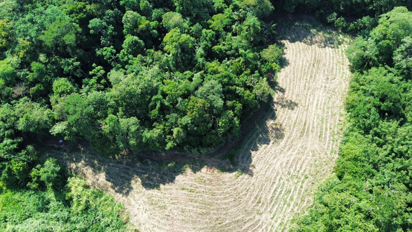 Excelente oportunidade para investir ou realizar o seu projeto dos sonhos! — foto 3