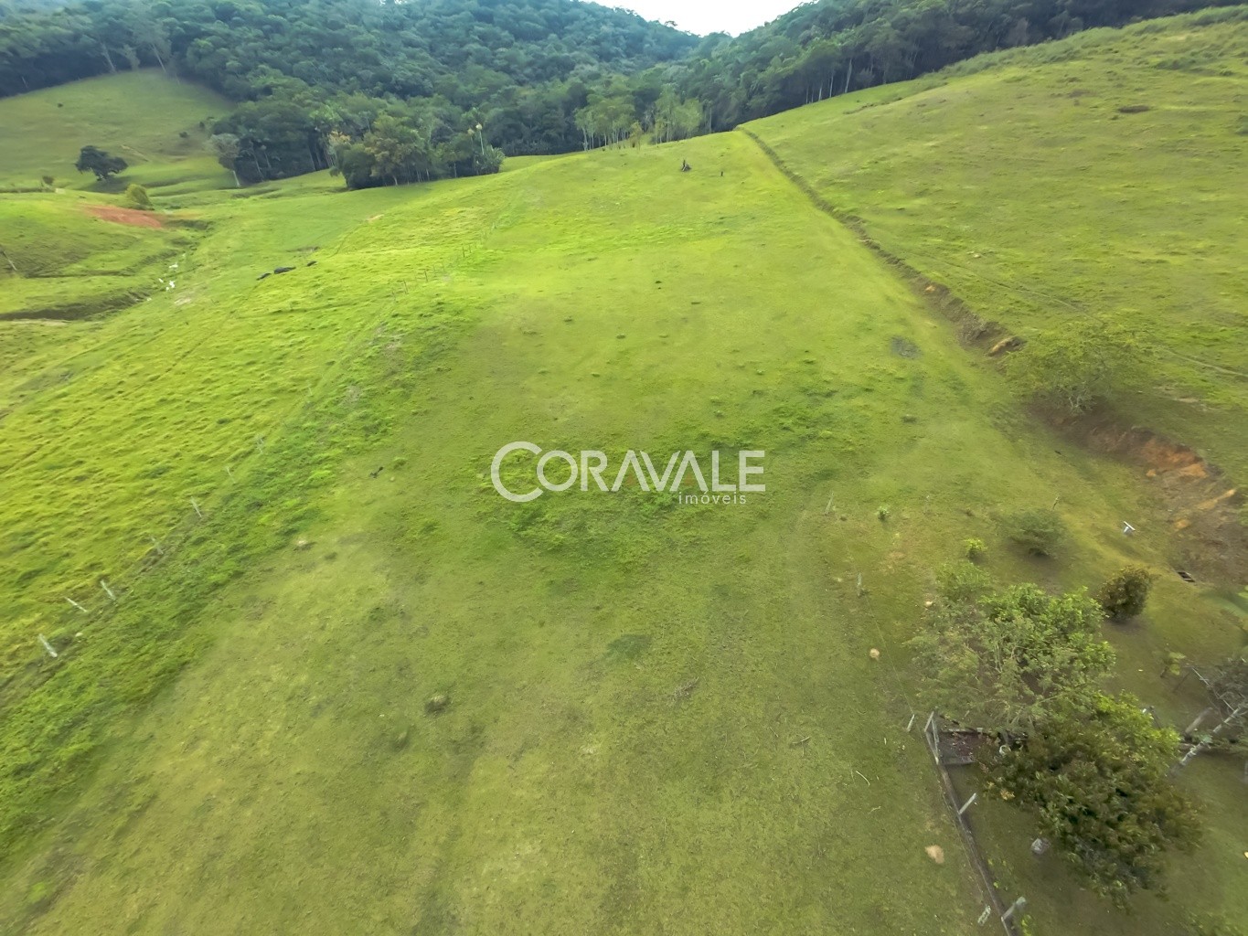 Terreno com 69.192 m no bairro Fortaleza em Blumenau/SC. — foto 5