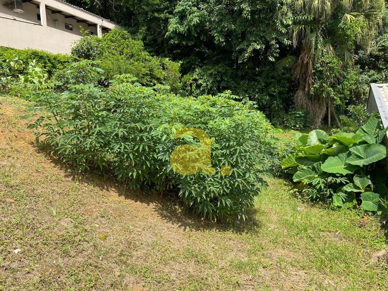 Terreno, 285 m² - Foto 8