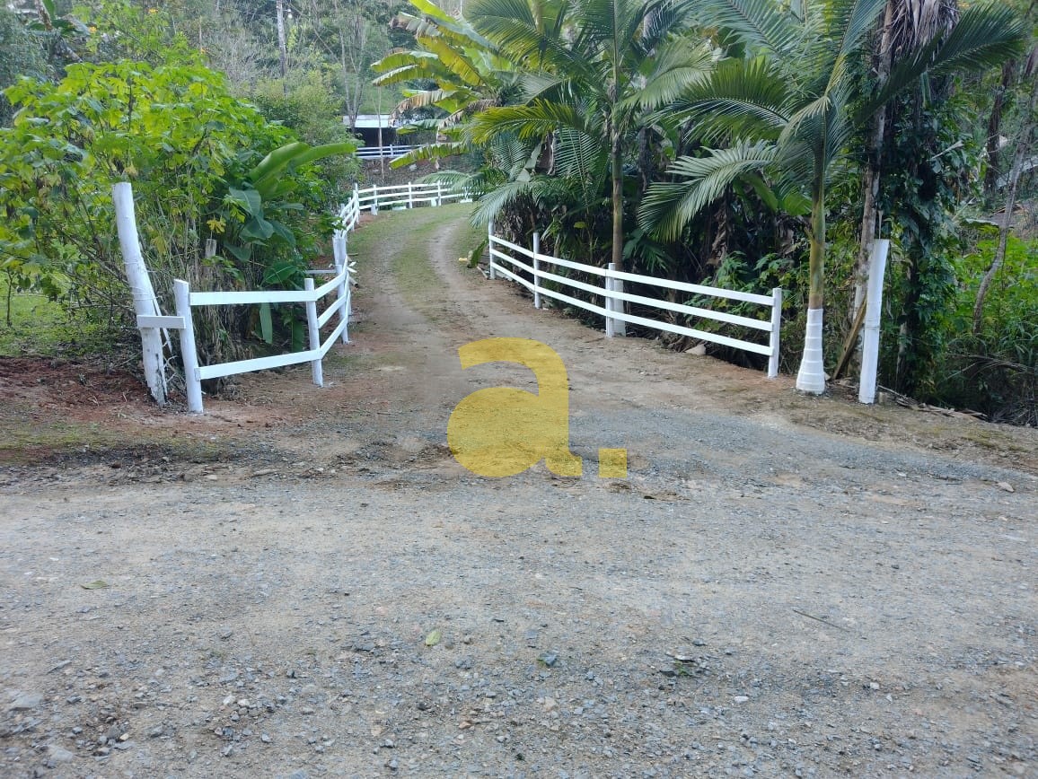 Sítio à venda com 2 quartos, 5000m² - Foto 1