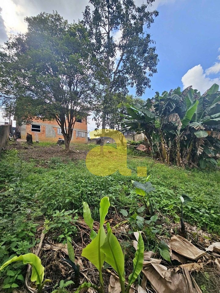 Casa à venda com 3 quartos, 60m² - Foto 3