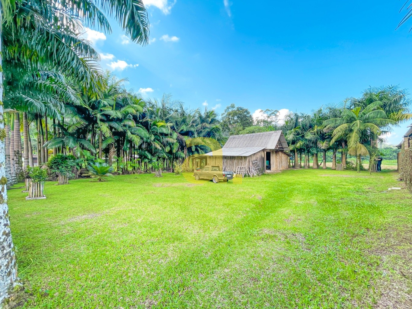 Sítio à venda com 5 quartos, 310m² - Foto 14