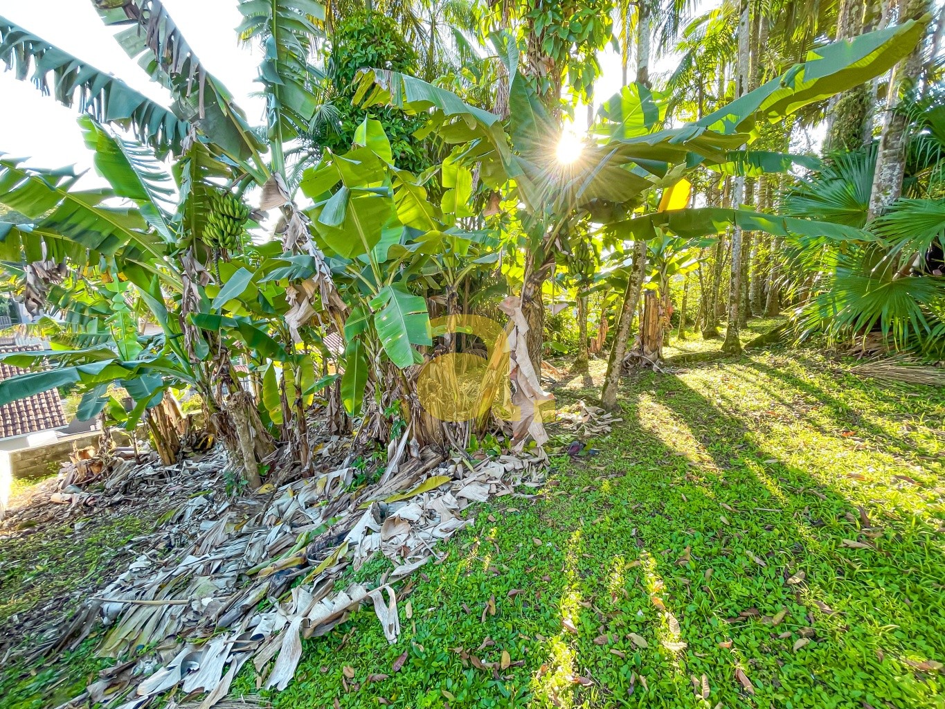 Terreno, 844 m² - Foto 5