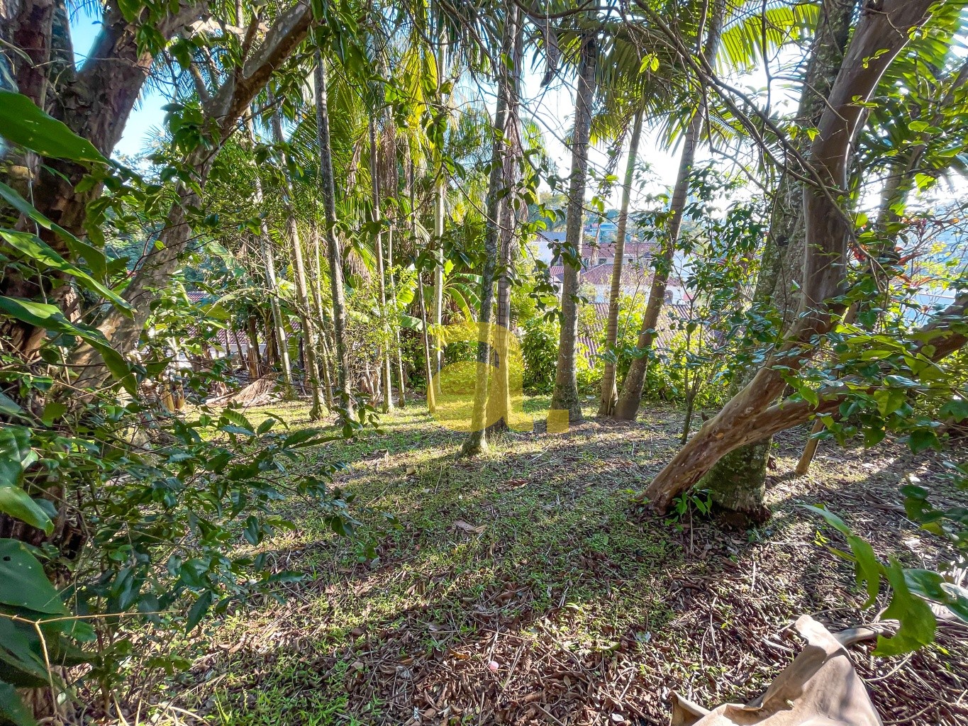 Terreno, 844 m² - Foto 11