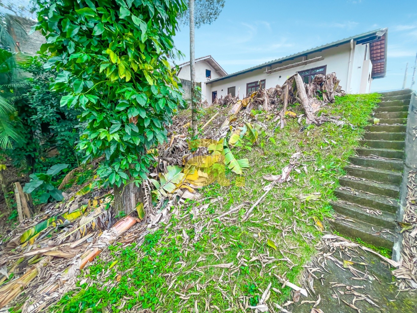 Casa à venda com 2 quartos, 90m² - Foto 25