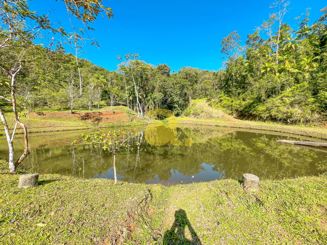 Sítio à venda com 3 quartos, 200m² - Foto 24