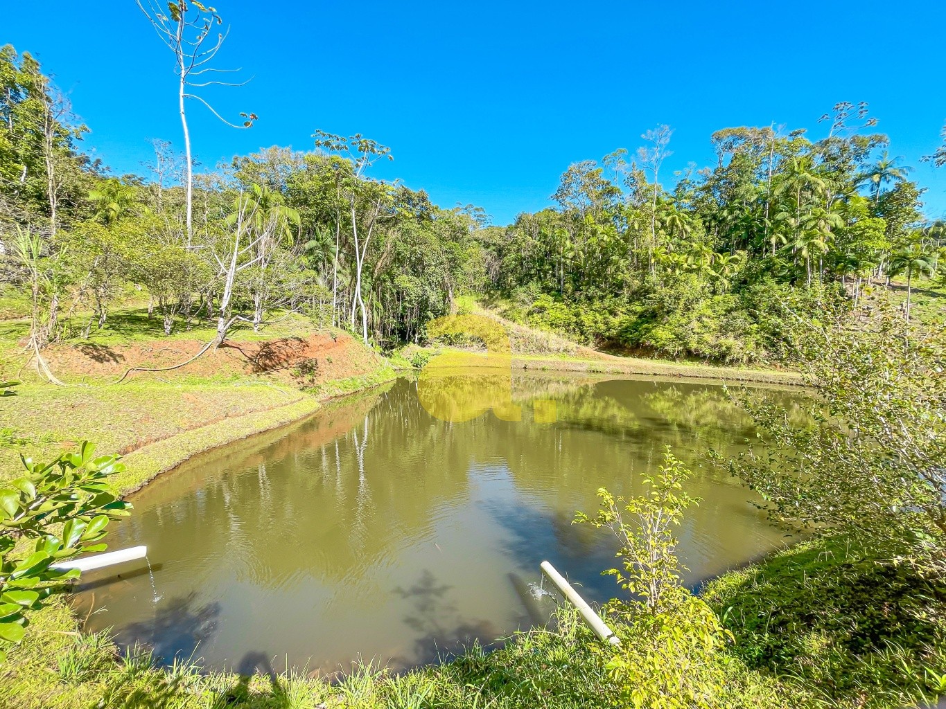 Sítio à venda com 3 quartos, 200m² - Foto 25