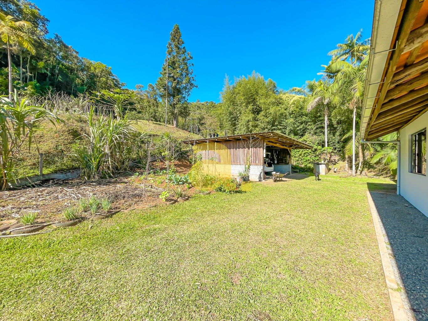 Sítio à venda com 3 quartos, 200m² - Foto 29