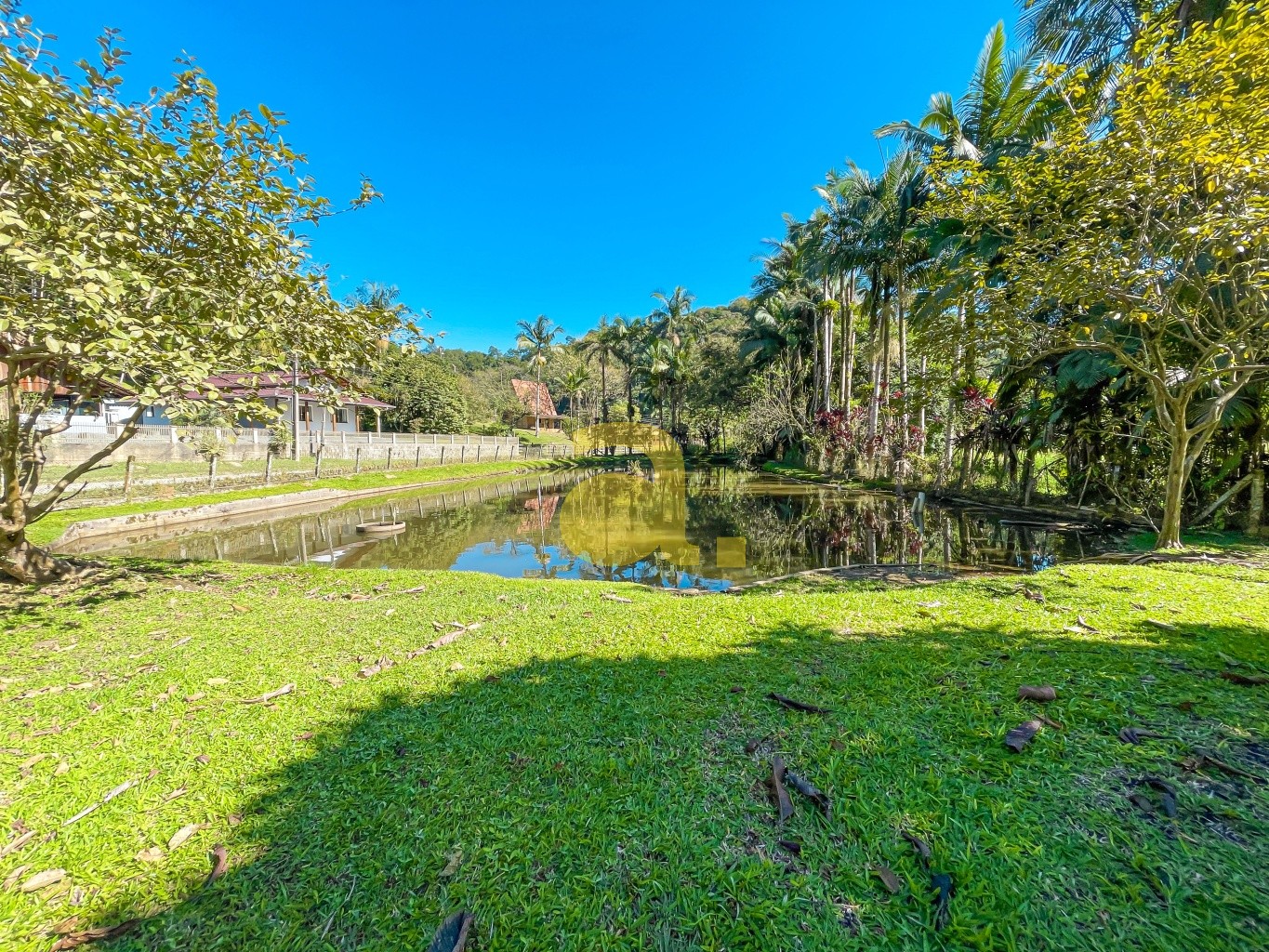 Terreno, 2300 m² - Foto 3