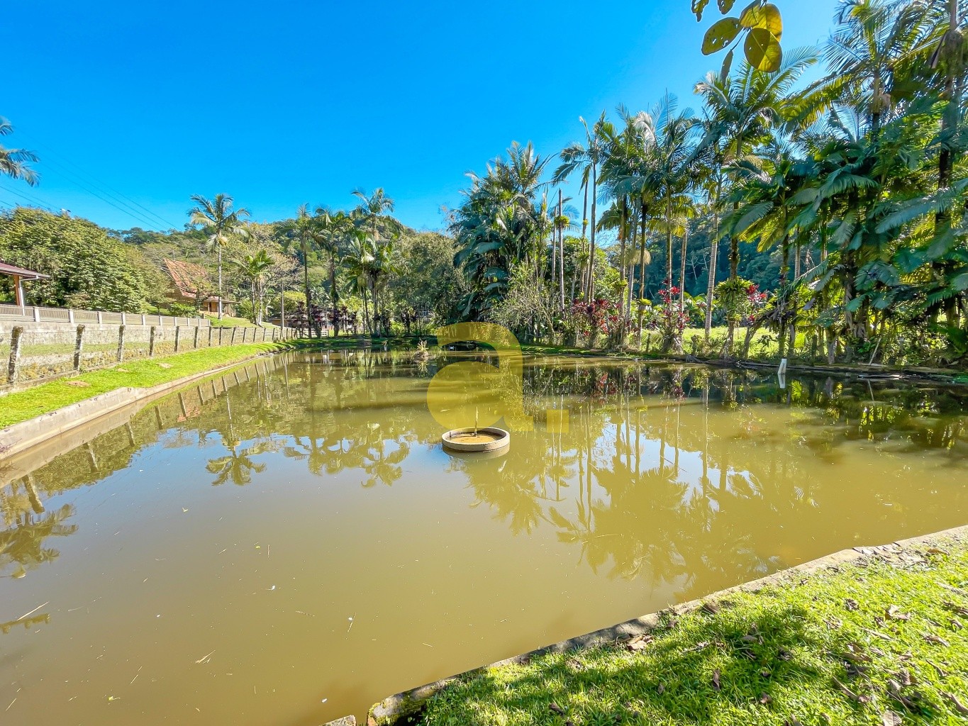 Terreno, 2300 m² - Foto 4