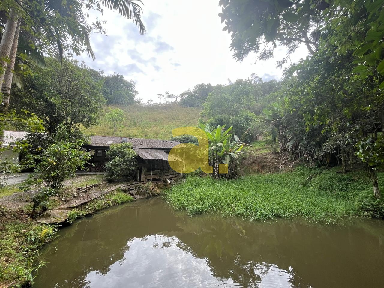 Sítio, 3 quartos, 4 hectares - Foto 3