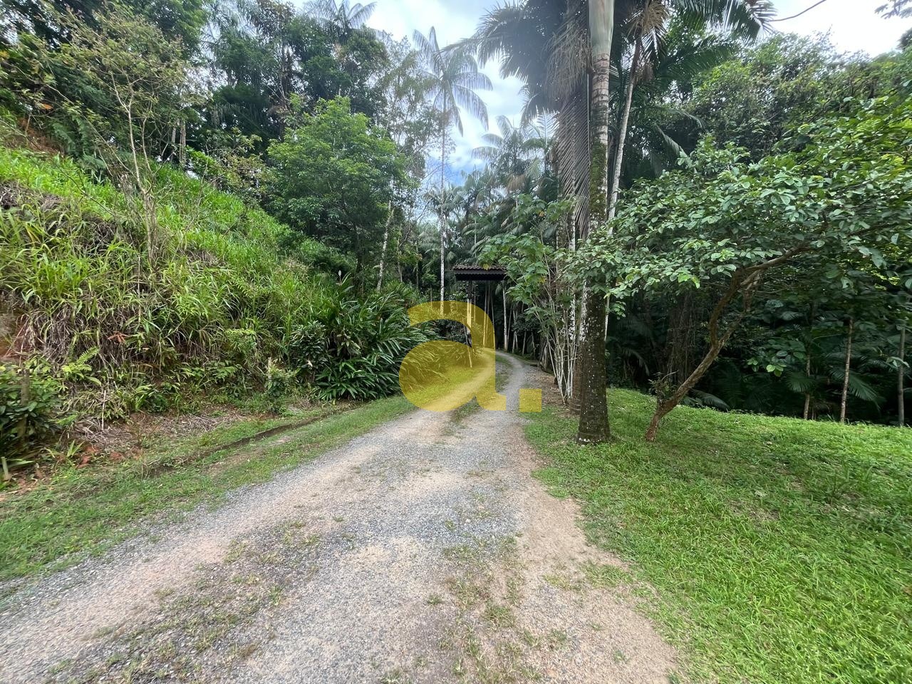 Sítio, 3 quartos, 4 hectares - Foto 4