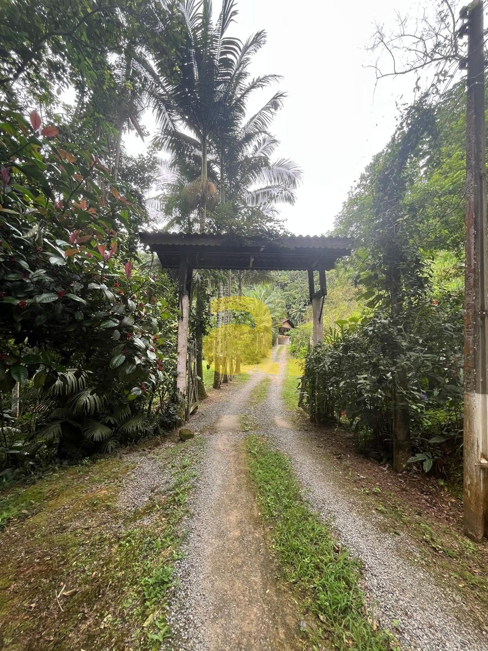 Sítio, 3 quartos, 4 hectares - Foto 5