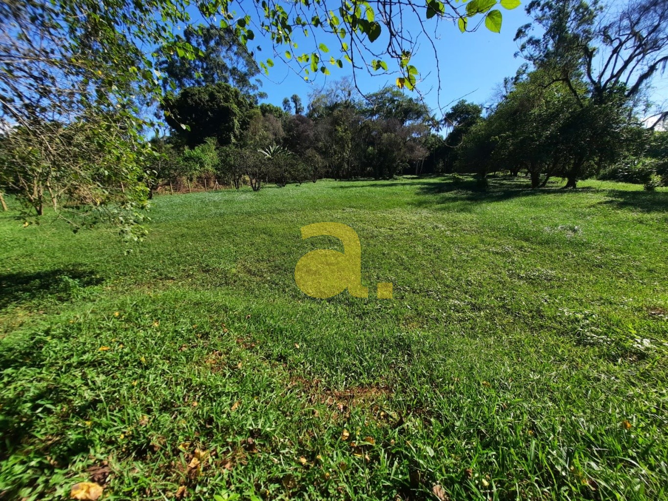 Terreno, 6727 m² - Foto 3