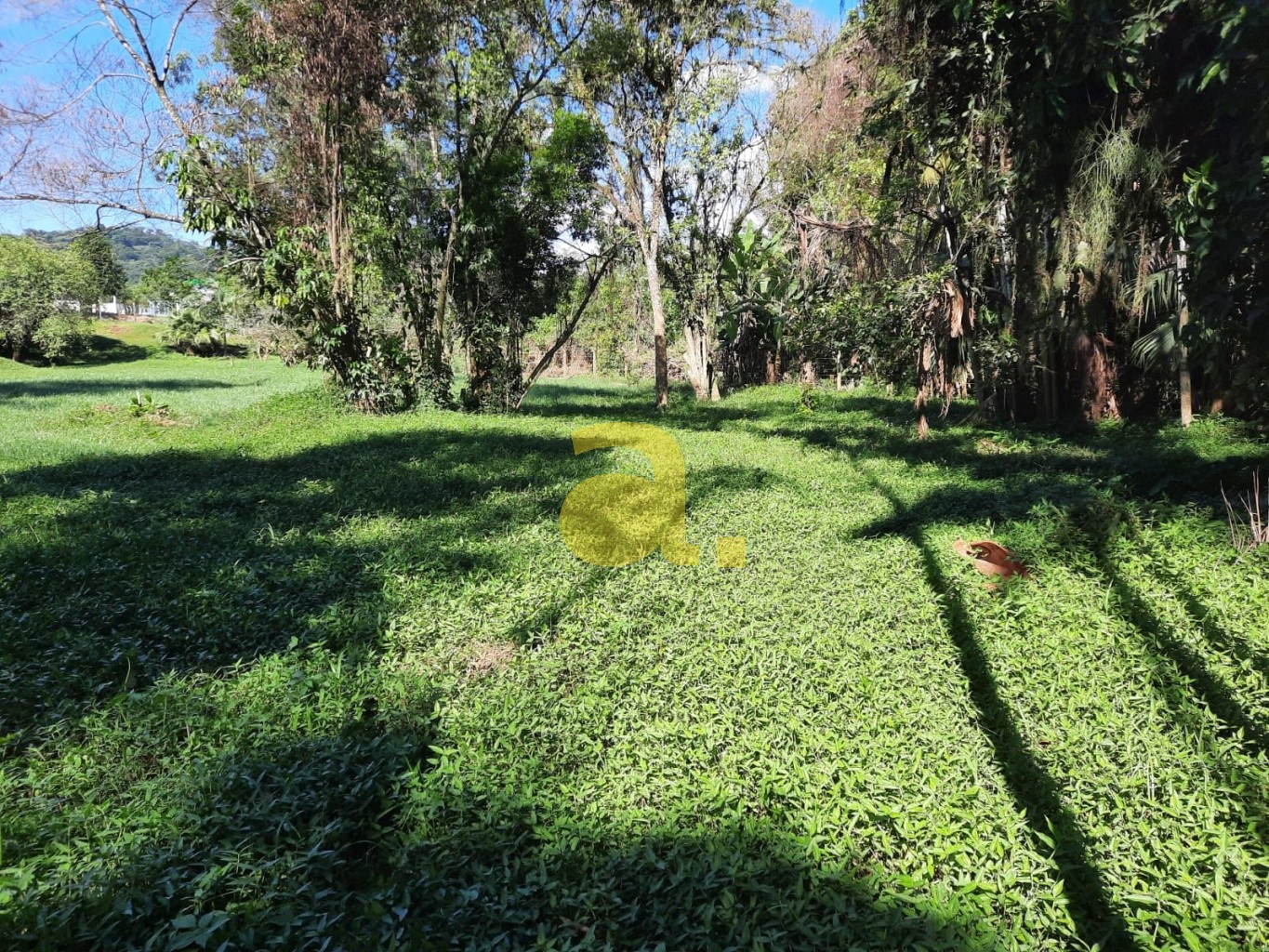 Terreno, 6727 m² - Foto 6