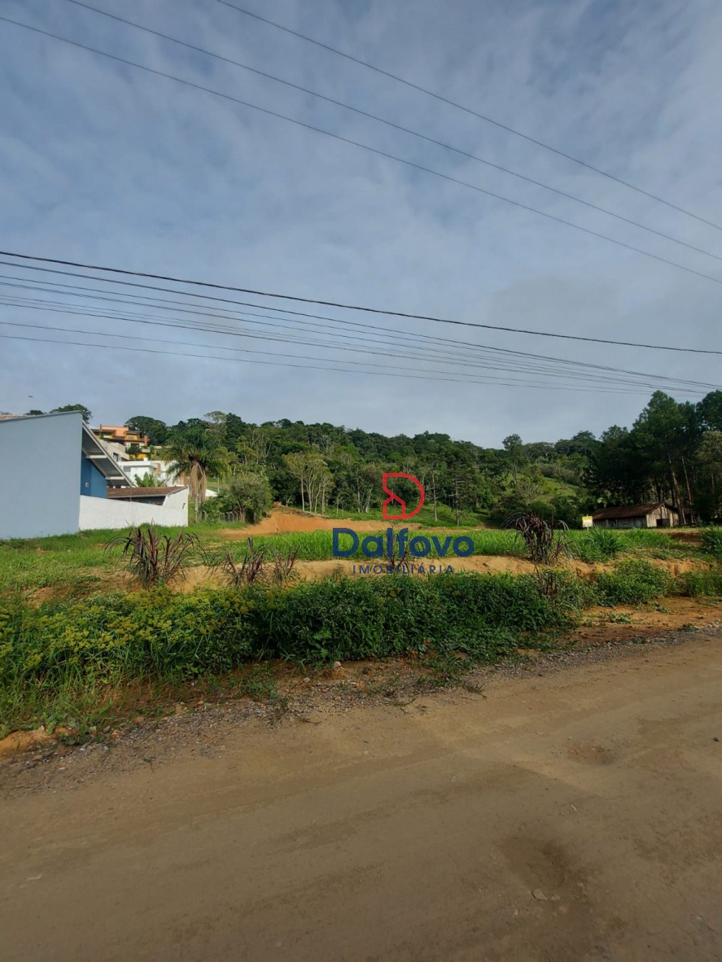 Área 01