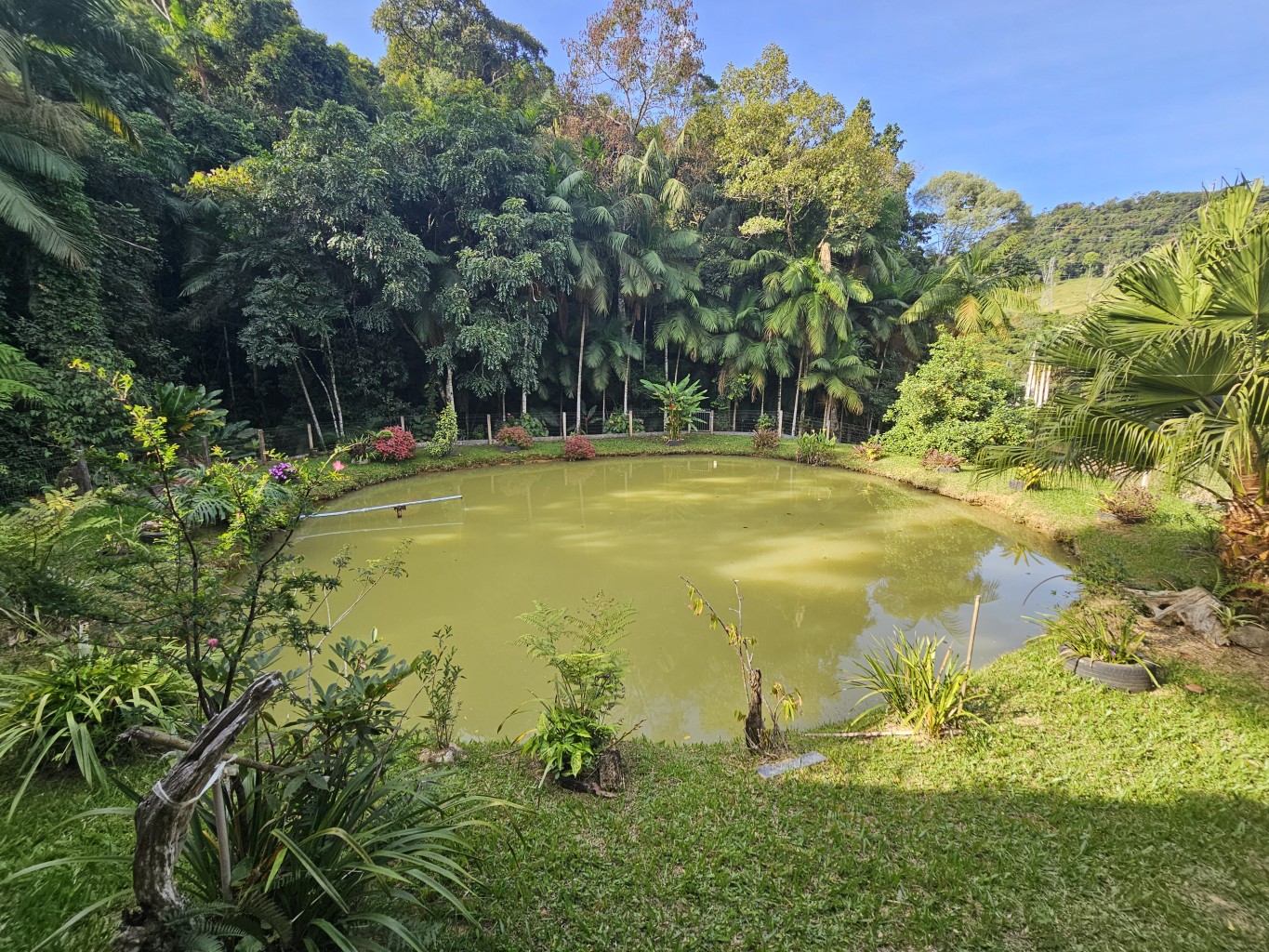 lagoa ao lado da Área de festas -  na Área 2