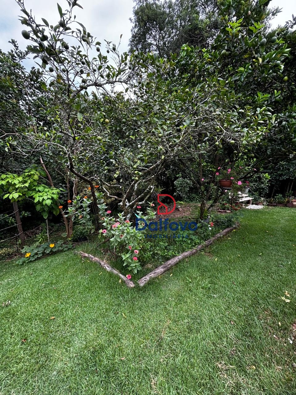 Jardim