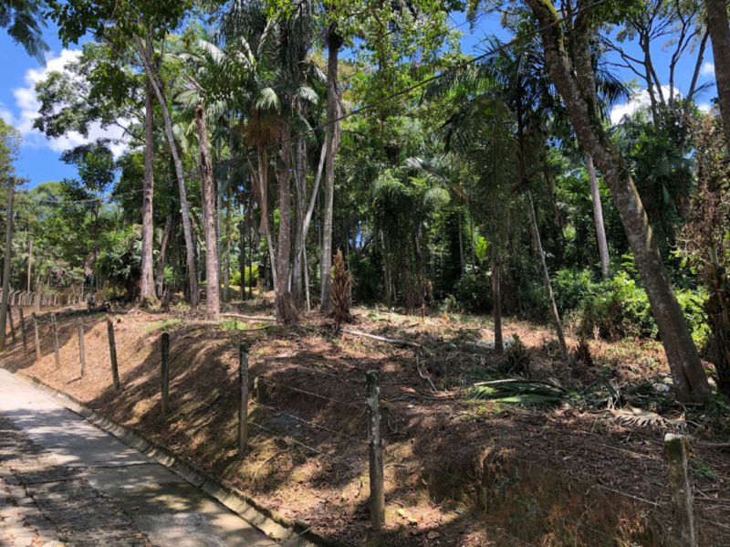 Lote/Terreno de 1609m² no bairro Badenfurt, em Blumenau | Eu Corretor