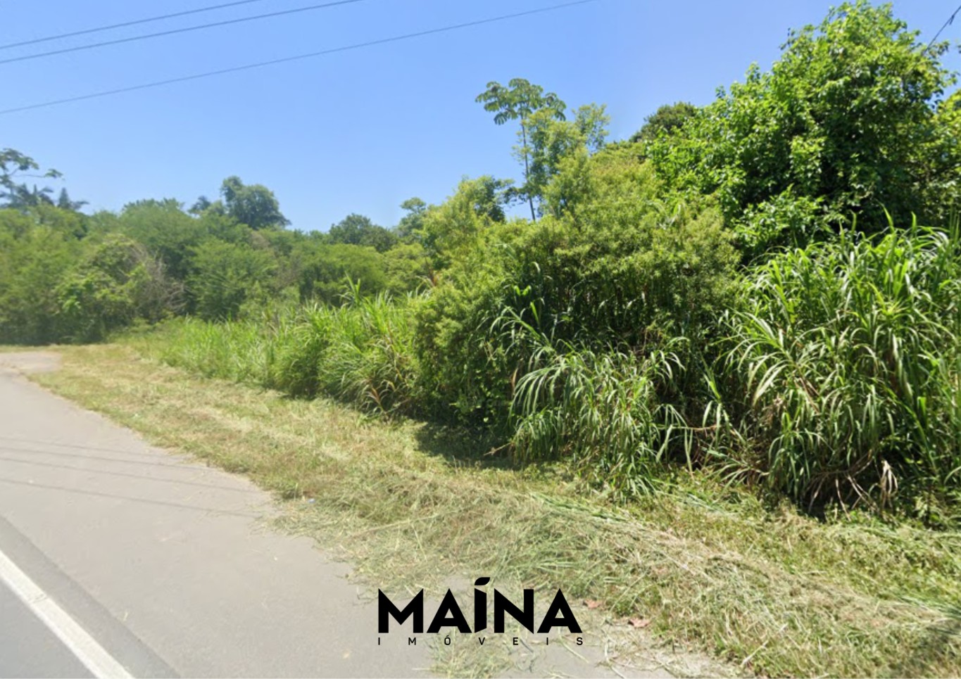Lote/Terreno de 45517m² no bairro Testo Central, em Pomerode | Eu Corretor