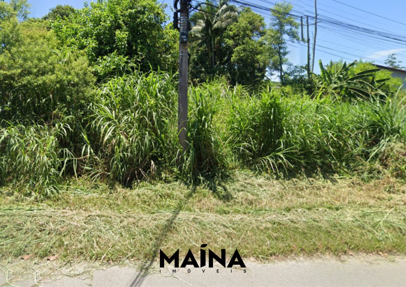 Lote/Terreno de 45517m² no bairro Testo Central, em Pomerode | Eu Corretor